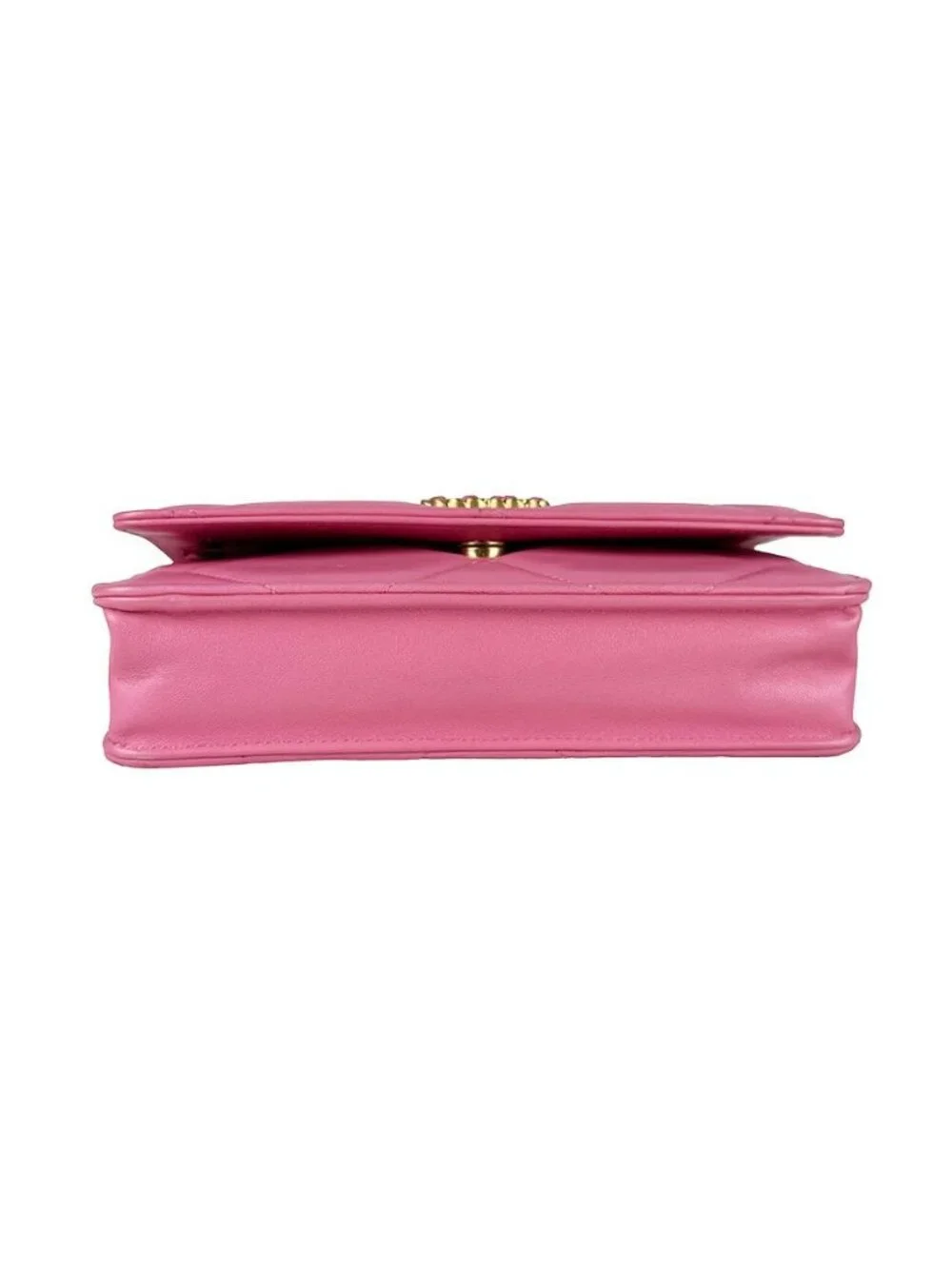 Chanel Chain Wallet Shoulder Bag